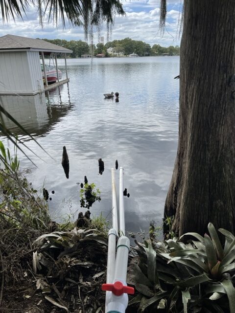 irrigation designed with lake component