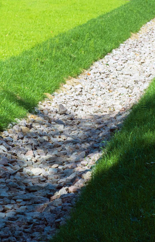 Lawn irrigation with rocks in Florida