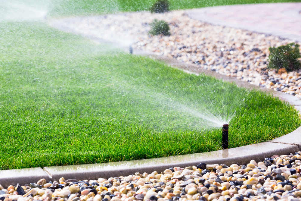 Irrigation design aesthetics