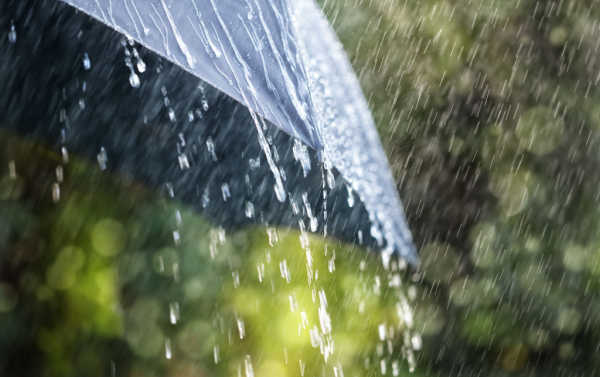 Rain and an umbrella, sensors stop sprinklers when they get wet