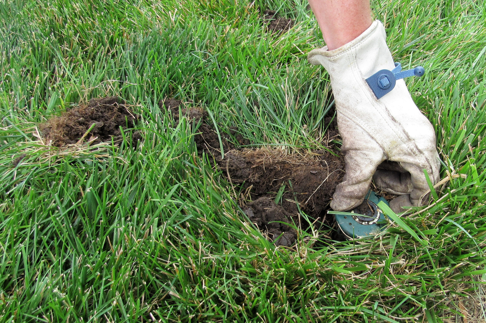 Jeff McDonald repairing a sprinkler in Central Florida