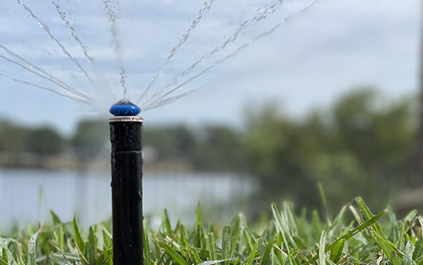 Different sprinkler head type